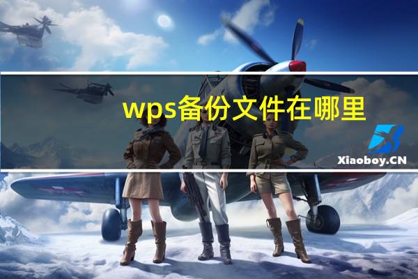 wps备份文件在哪里