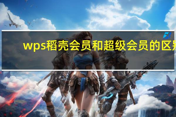 wps稻壳会员和超级会员的区别