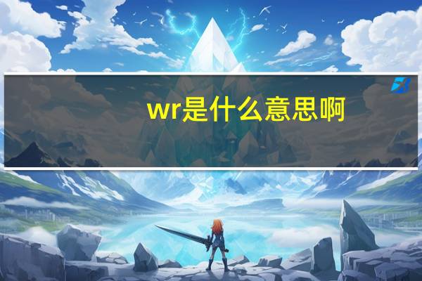 wr是什么意思啊（wr1和wr2是什么意思）