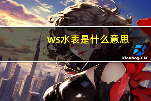 ws水表是什么意思