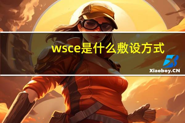 ws ce是什么敷设方式