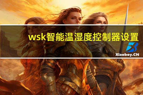 wsk智能温湿度控制器设置