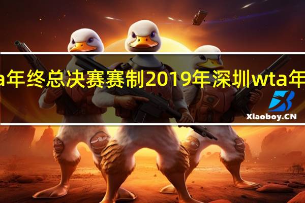 wta年终总决赛赛制 2019年深圳wta年终总决赛