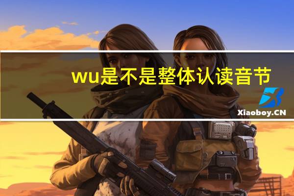 wu是不是整体认读音节
