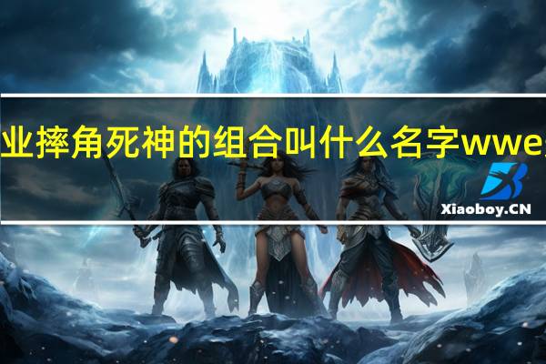 wwe美国职业摔角死神的组合叫什么名字 wwe美国职业摔角资讯