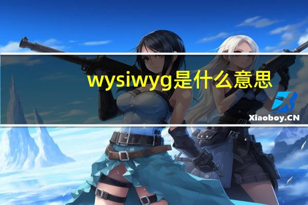 wysiwyg是什么意思