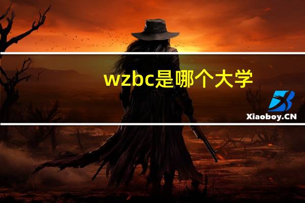 wzbc是哪个大学