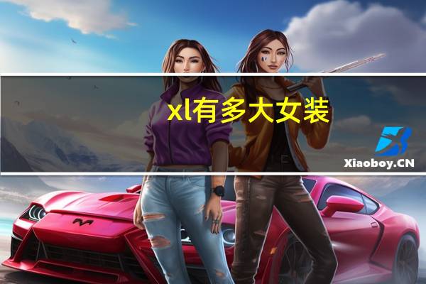 xl有多大女装