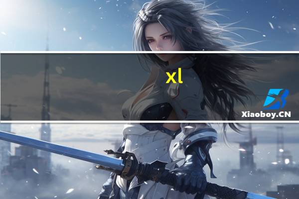xl-21代表什么含义