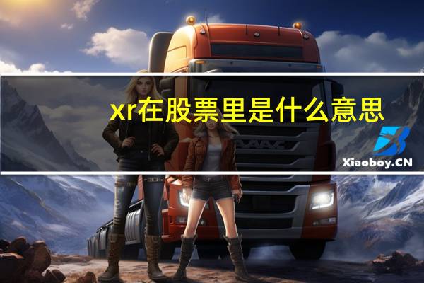 xr在股票里是什么意思