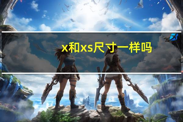 x和xs尺寸一样吗