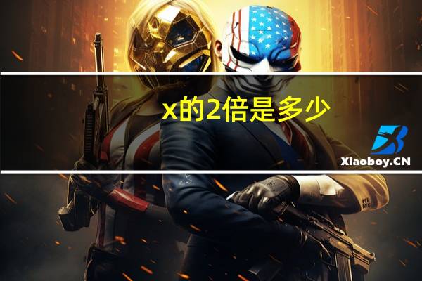 x的2倍是多少