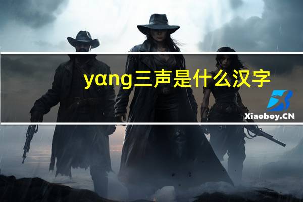 yαng三声是什么汉字