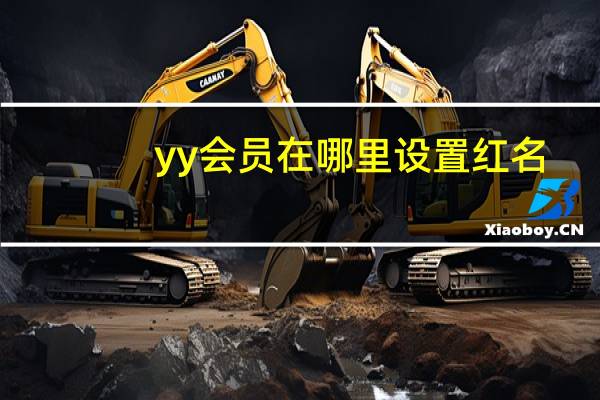 yy会员在哪里设置红名（yy会员怎么设置红名）
