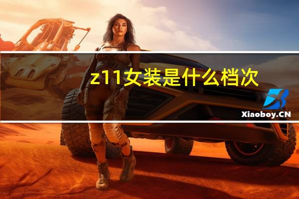 z11女装是什么档次