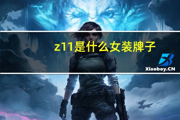 z11是什么女装牌子