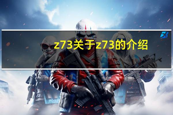 z73 关于z73的介绍