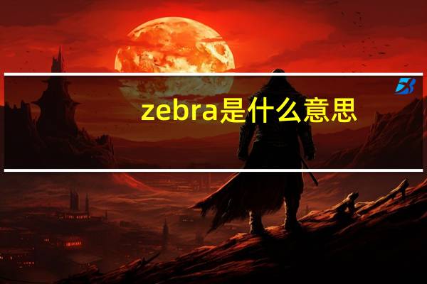 zebra是什么意思
