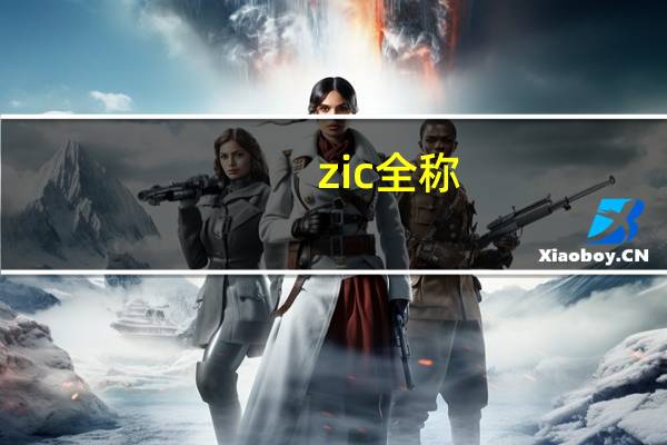 zic全称