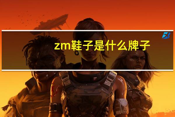 zm鞋子是什么牌子