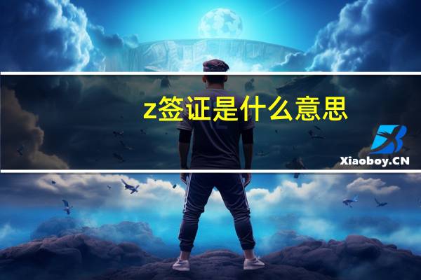 z签证是什么意思