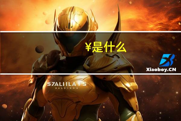 ¥是什么