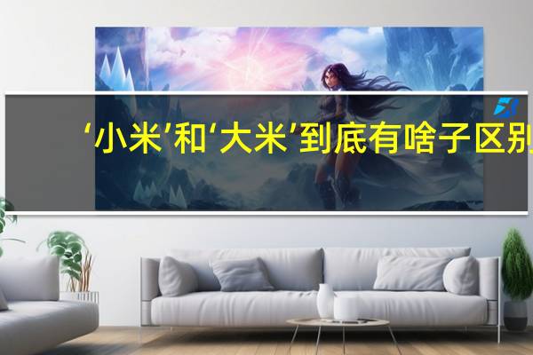 ‘小米’和‘大米’到底有啥子区别