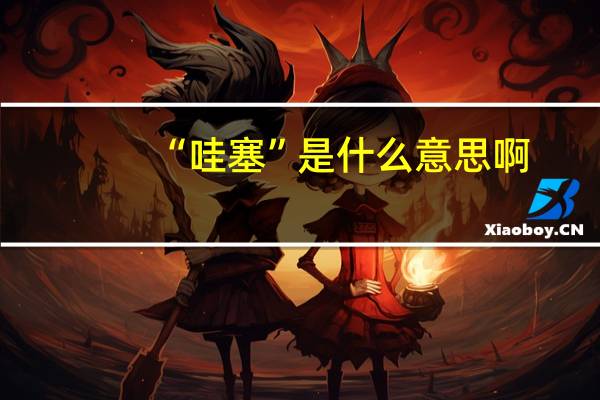 “哇塞”是什么意思啊