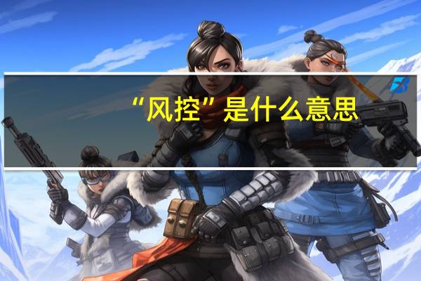 “风控”是什么意思?