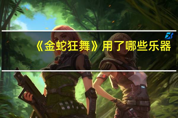 《金蛇狂舞》用了哪些乐器
