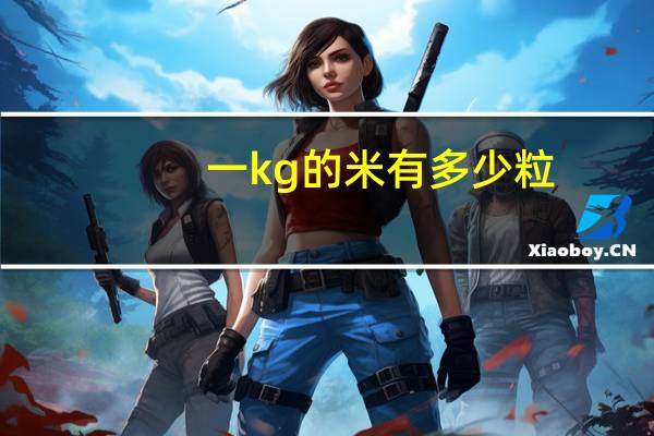 一kg的米有多少粒