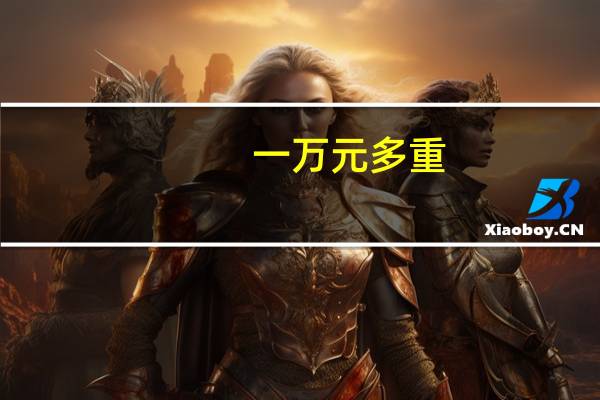 一万元多重