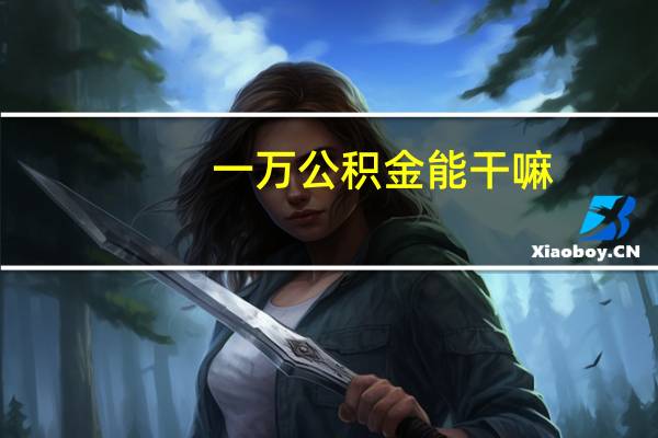一万公积金能干嘛