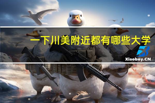 一下川美附近都有哪些大学