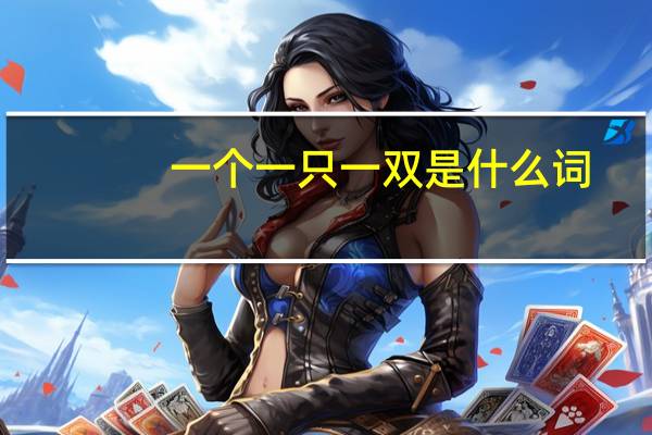一个一只一双是什么词