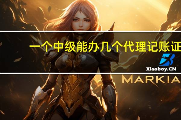 一个中级能办几个代理记账证