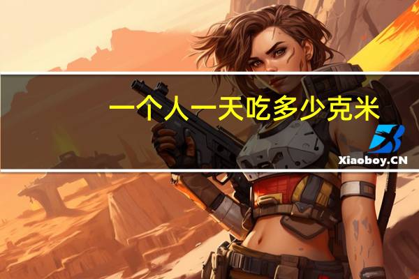 一个人一天吃多少克米