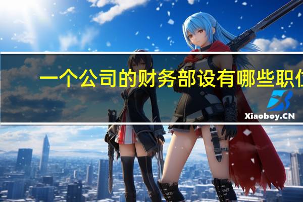 一个公司的财务部设有哪些职位