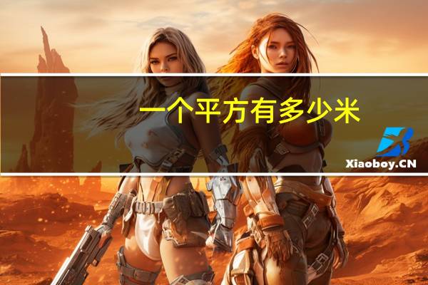 一个平方有多少米