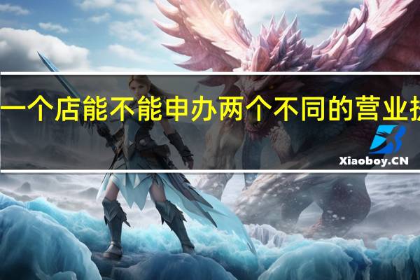 一个店能不能申办两个不同的营业执照呢