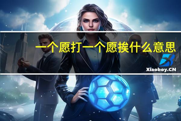 一个愿打一个愿挨什么意思