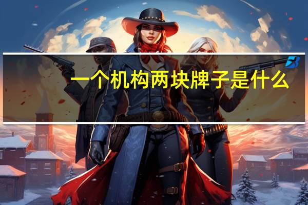 一个机构两块牌子是什么