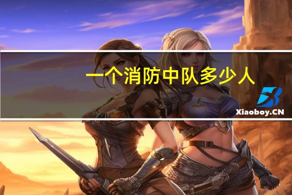 一个消防中队多少人