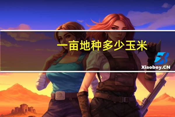一亩地种多少玉米