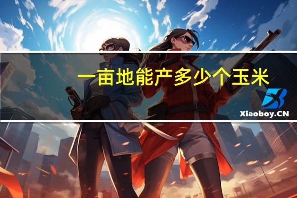 一亩地能产多少个玉米