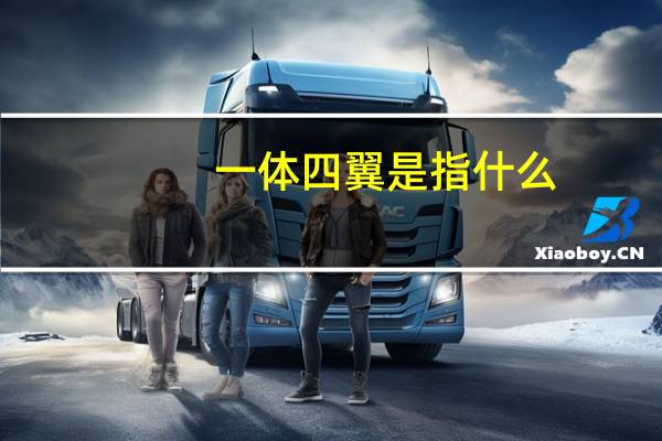 一体四翼是指什么