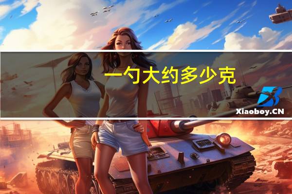 一勺大约多少克