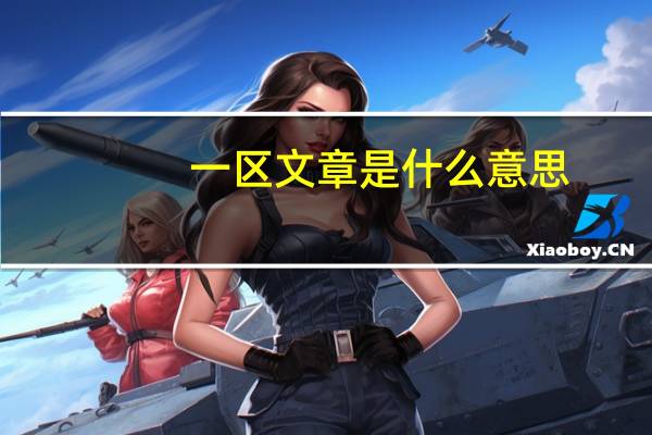 一区文章是什么意思