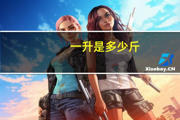 一升是多少斤