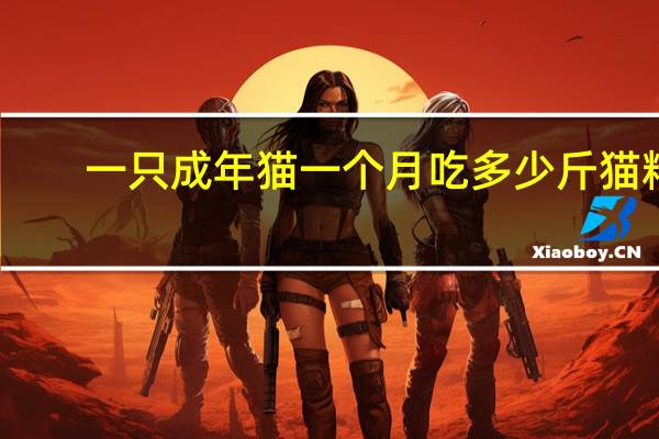一只成年猫一个月吃多少斤猫粮